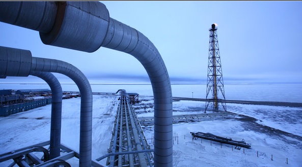 Arctic neft oil