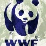 WWF напомнил о себе Арктикой.