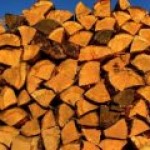 “Проклятые москали” Украину дров не лишат