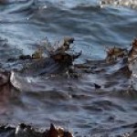 Выброс нефти в Черное море спровоцировал массовую проверку