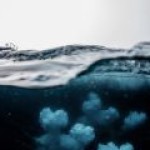 Океанологи в шоке: Трамп разрешит морской сейсморазведке применять пневмопушки