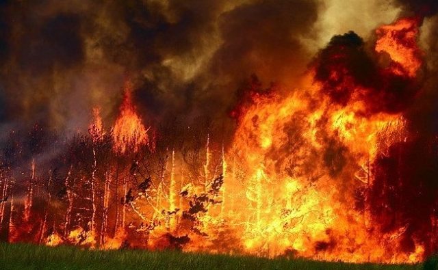 лесные пожары комплекс
